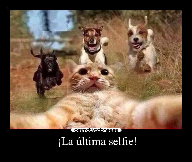 ¡La última selfie! - 