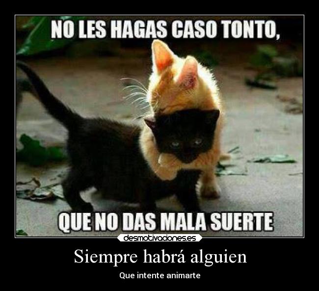 Siempre habrá alguien - Que intente animarte