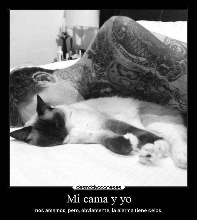 Mi cama y yo - 