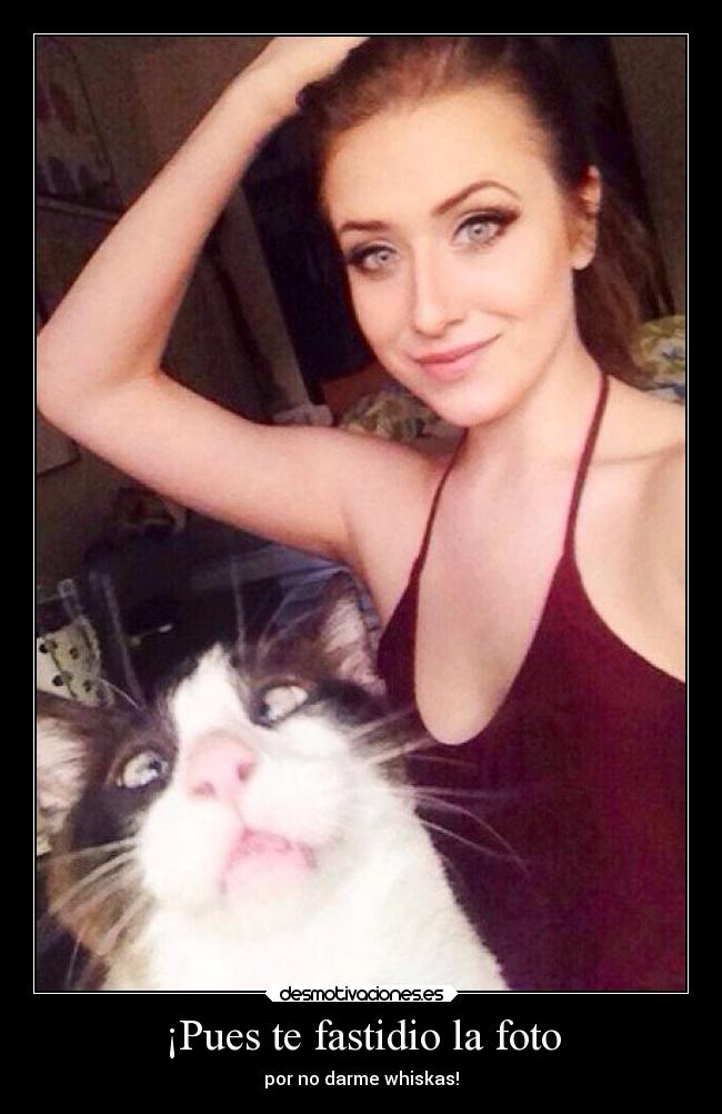 ¡Pues te fastidio la foto - por no darme whiskas!