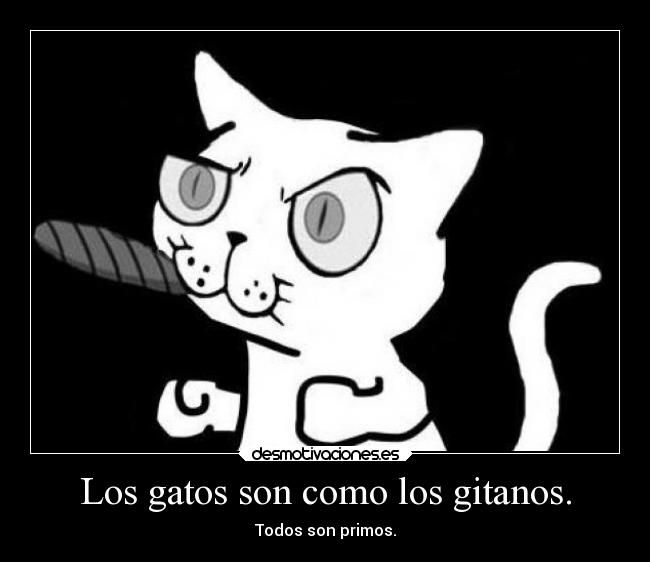 Los gatos son como los gitanos. - Todos son primos.