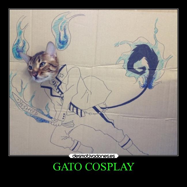 GATO COSPLAY -