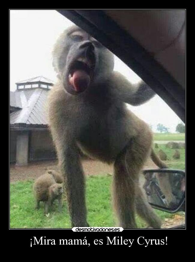 carteles graciosas humor binario10 desmotivaciones