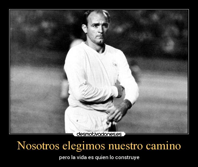 Nosotros elegimos nuestro camino - pero la vida es quien lo construye