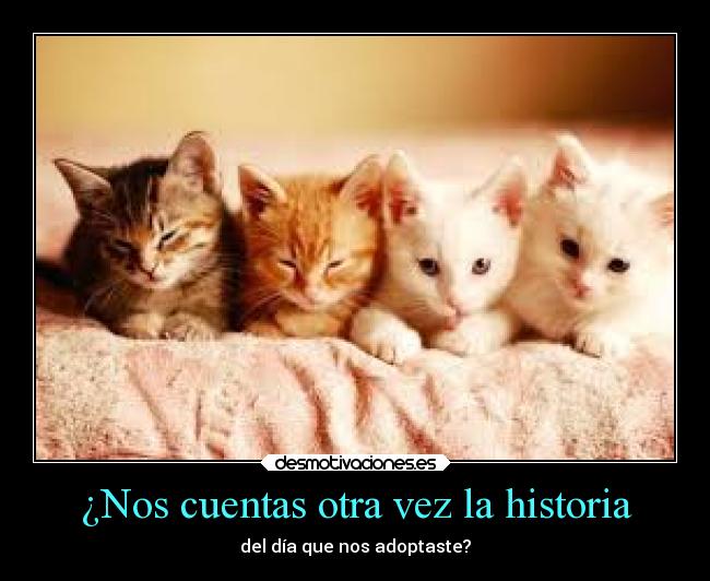 ¿Nos cuentas otra vez la historia - 