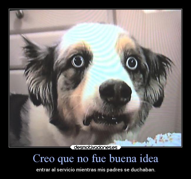 Creo que no fue buena idea - 