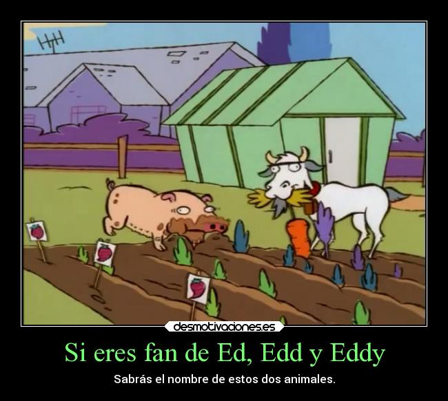 carteles humor animales infancia ededdyeddy ededdneddy pregunta devilbrigade cartoon network eddy cabra cerdo desmotivaciones