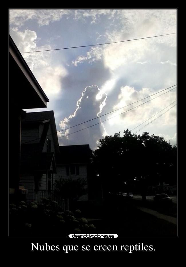 Nubes que se creen reptiles. - 