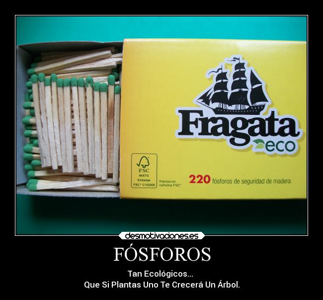 FÓSFOROS - Tan Ecológicos...
Que Si Plantas Uno Te Crecerá Un Árbol.