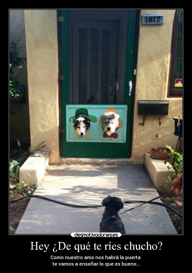 carteles humor chucho perros reirse desmotivaciones