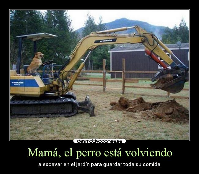 carteles humor comida graciosas perros jardin rilacs kellogstime desmotivaciones