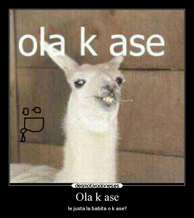Ola k ase - 