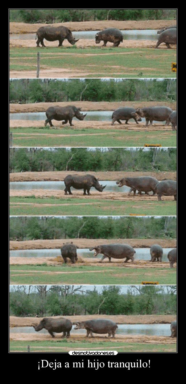 carteles humor davor safth clandesplazado soyunidiotatm deja hijo tranquilo espero ahora suba desmotivaciones