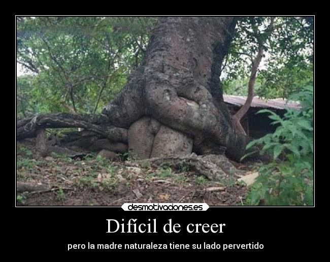 carteles humor desmotivaciones