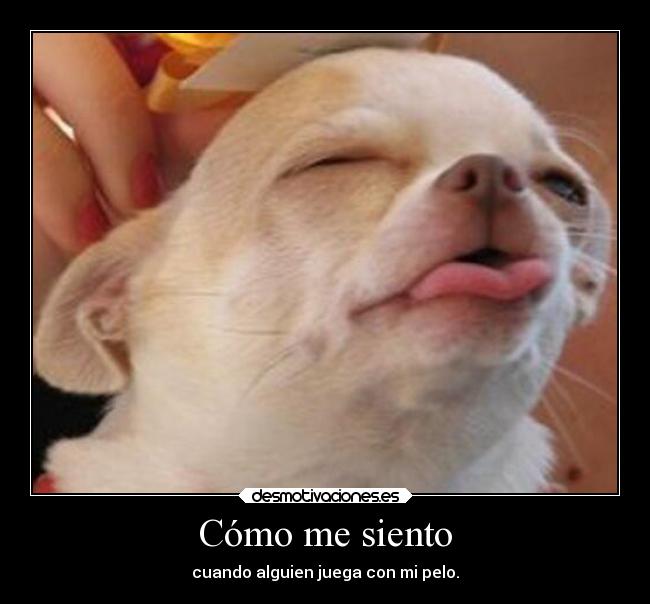 Cómo me siento -