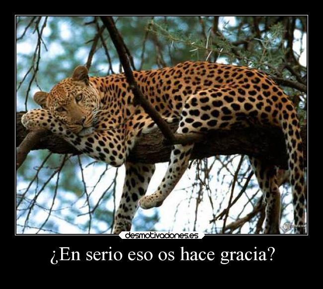 ¿En serio eso os hace gracia? - 