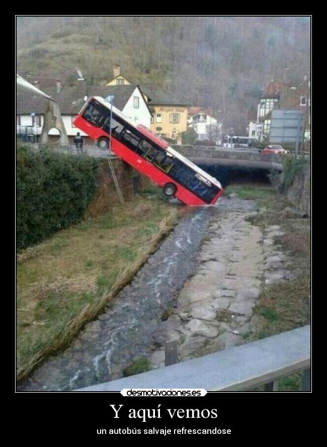 Y aquí vemos - un autobús salvaje refrescandose