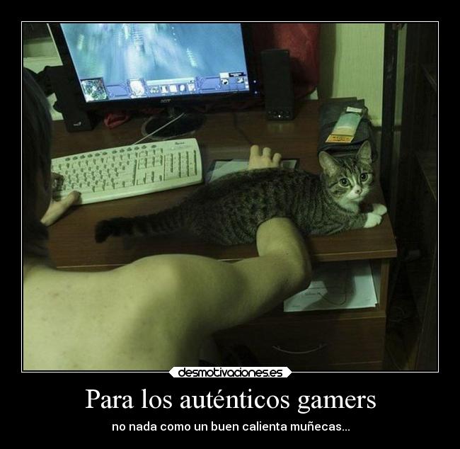 carteles humor gato calienta munecas gamers desmotivaciones