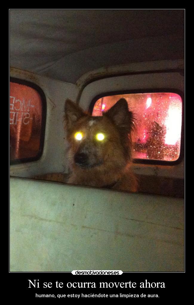 Ni se te ocurra moverte ahora - 