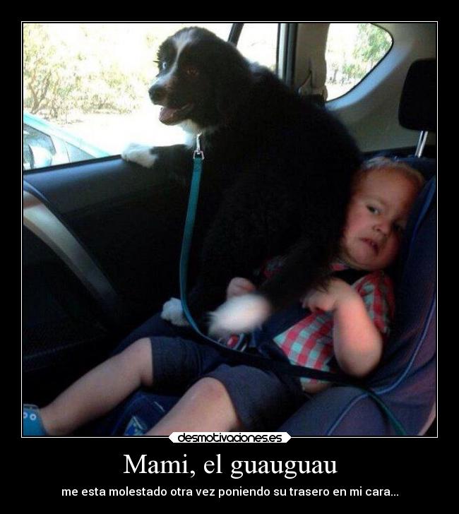 carteles humor mami perro guau guauguau desmotivaciones