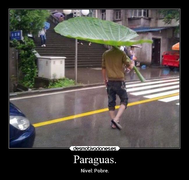 Paraguas. - 