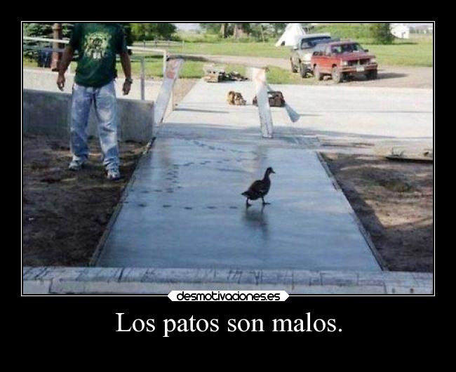 carteles humor patos breathebreathe desmotivaciones