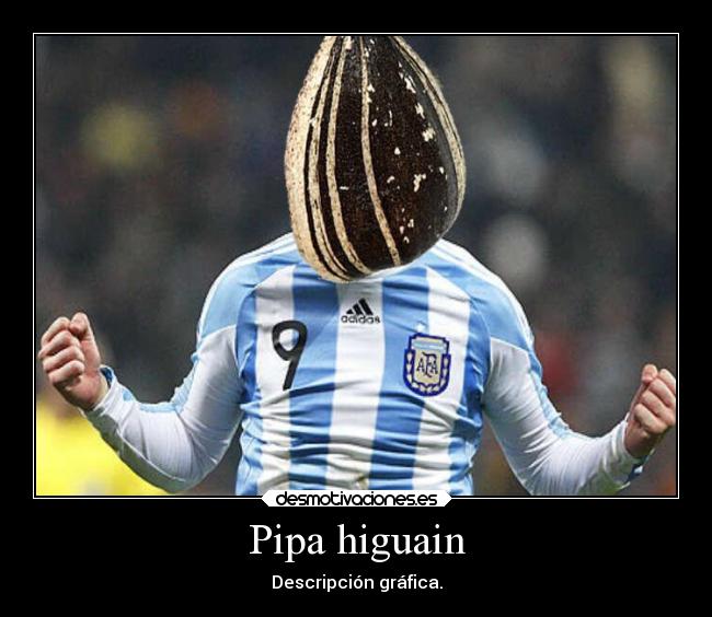 Pipa higuain - Descripción gráfica.