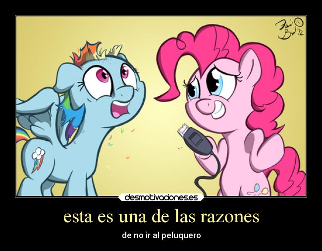 carteles humor pony pinkiepie rainbowdash dejaron cagada pelo peluquero desmotivaciones