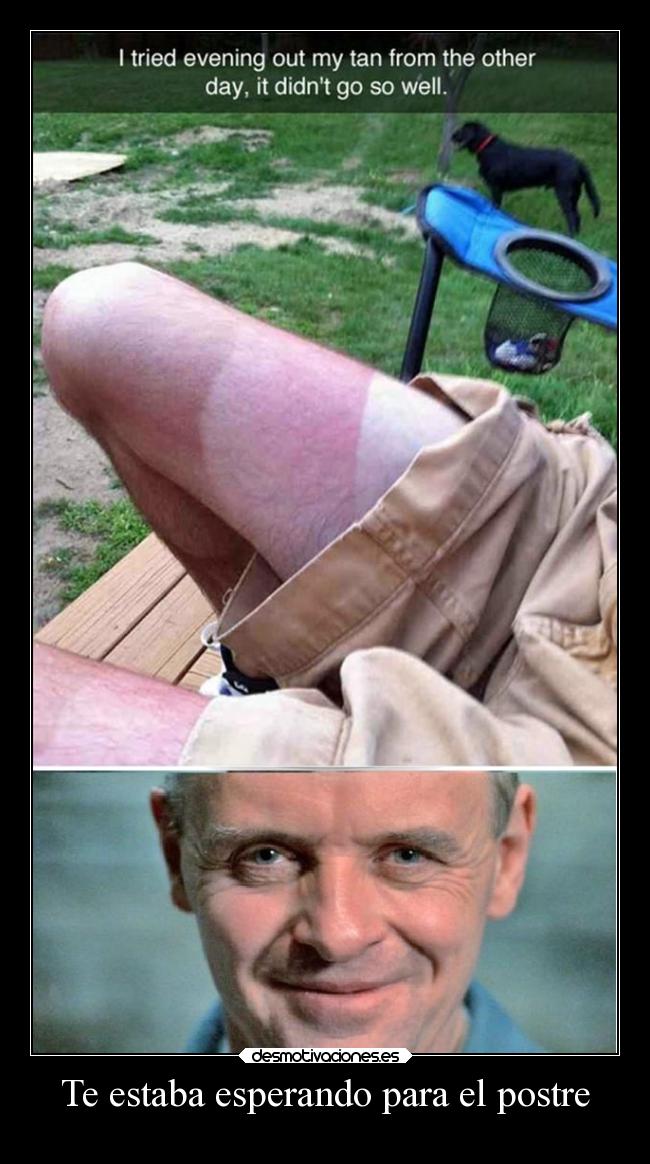 carteles humor postre napolitano binario10 desmotivaciones