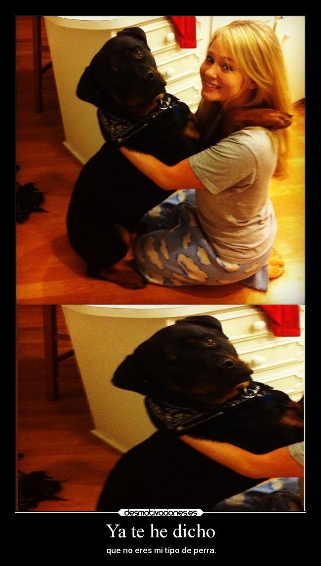 carteles humor tcms whiteangel imitandoa vanete desmotivaciones