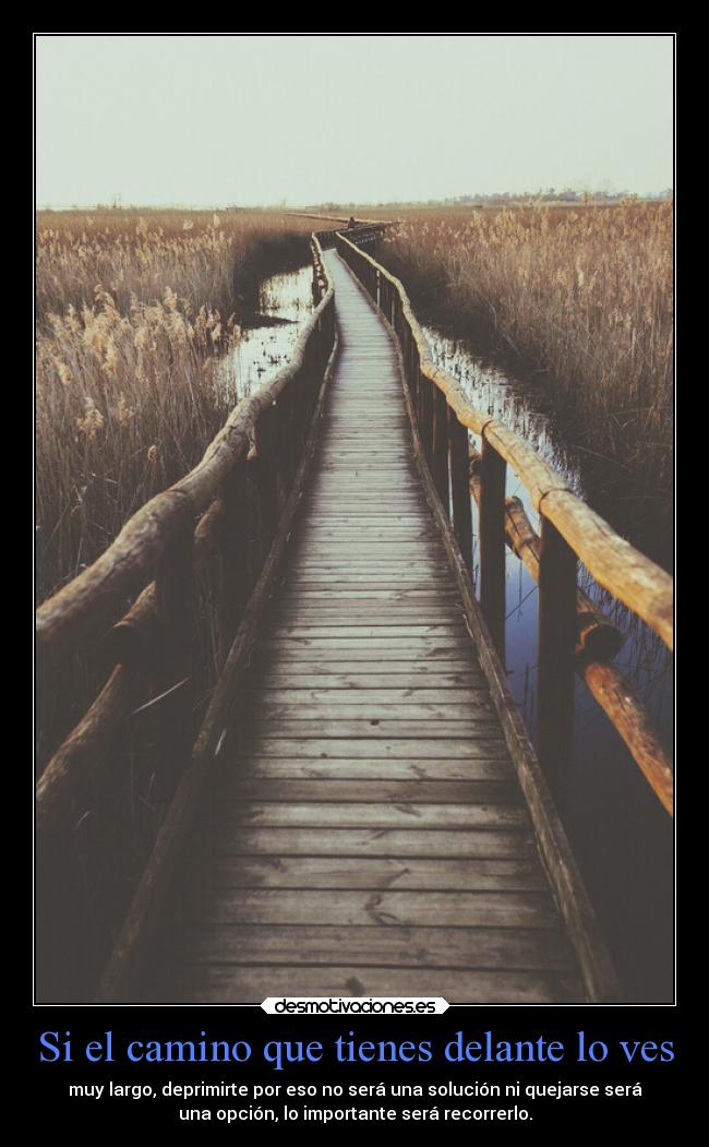Si el camino que tienes delante lo ves - muy largo, deprimirte por eso no será una solución ni quejarse será
una opción, lo importante será recorrerlo.