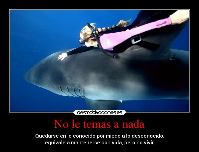 No le temas a nada - Quedarse en lo conocido por miedo a lo desconocido,
equivale a mantenerse con vida, pero no vivir.