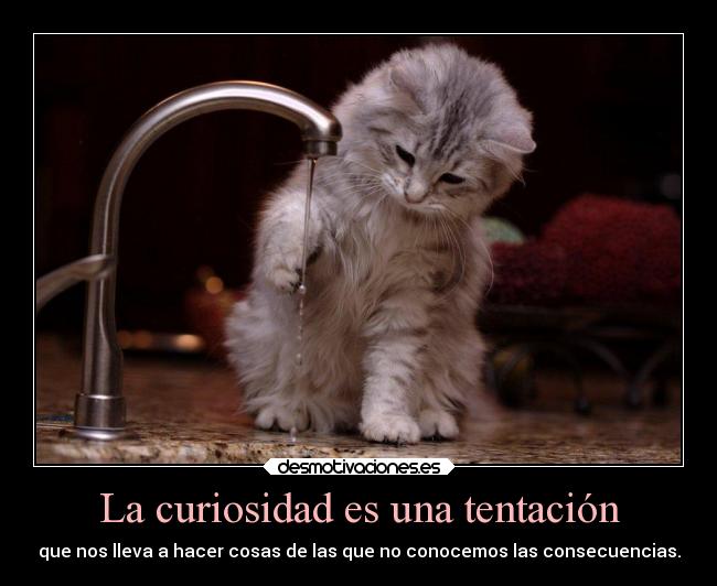 La curiosidad es una tentación - que nos lleva a hacer cosas de las que no conocemos las consecuencias.
