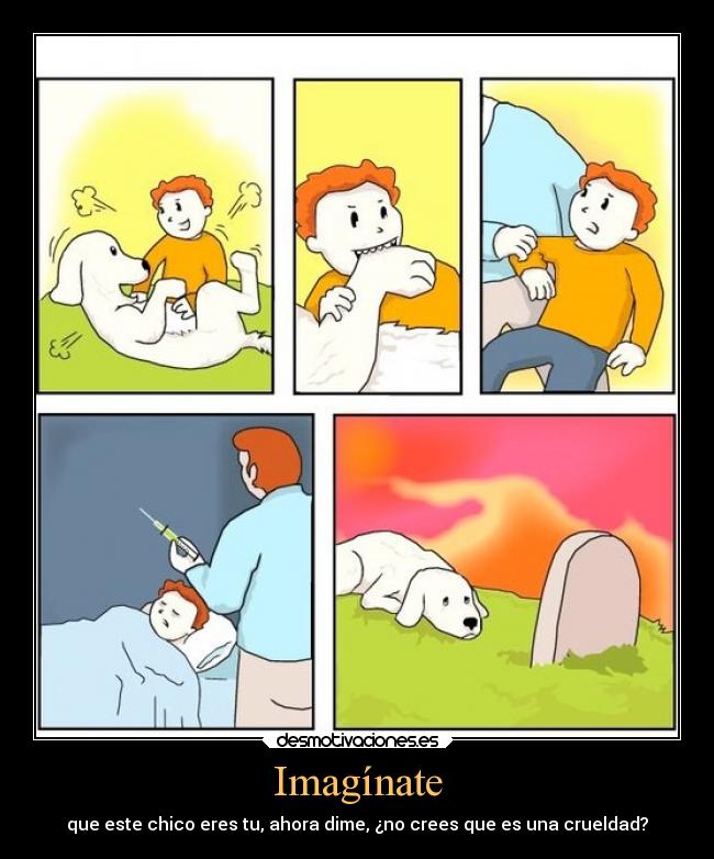Imagínate - que este chico eres tu, ahora dime, ¿no crees que es una crueldad?