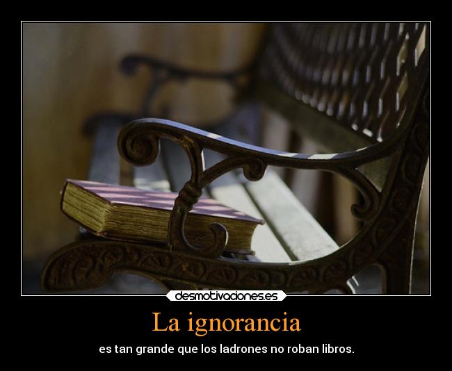 La ignorancia - es tan grande que los ladrones no roban libros.