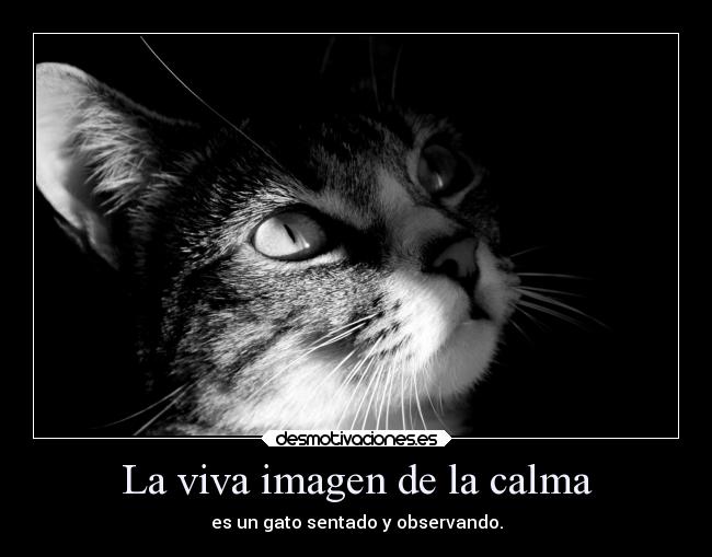 La viva imagen de la calma - 