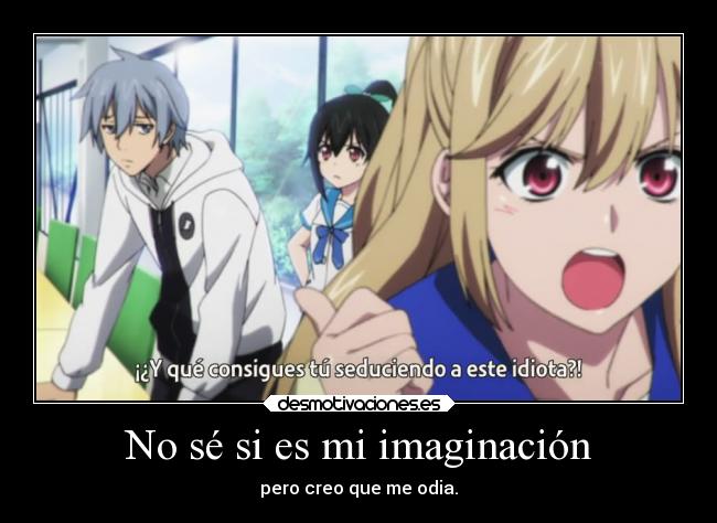 No sé si es mi imaginación - pero creo que me odia.