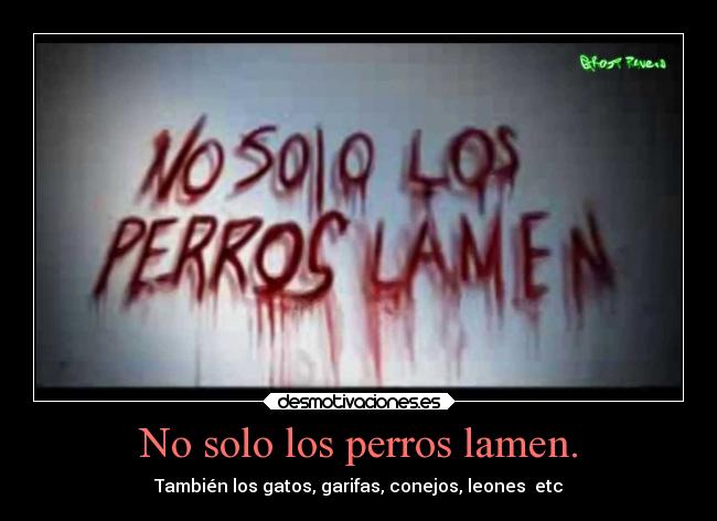 carteles internet creepypasta desmotivaciones