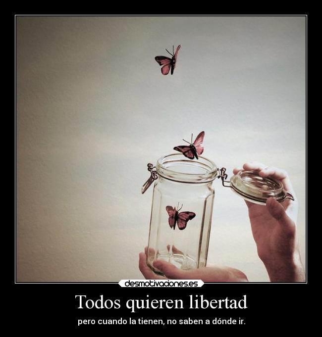 Todos quieren libertad - pero cuando la tienen, no saben a dónde ir.
