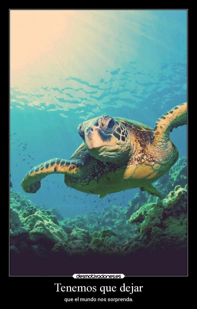 Tenemos que dejar - que el mundo nos sorprenda.