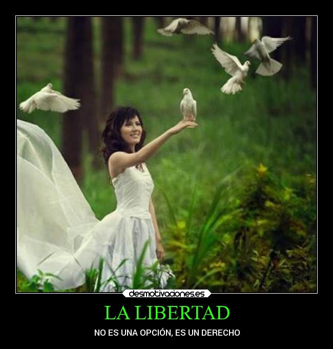 LA LIBERTAD -