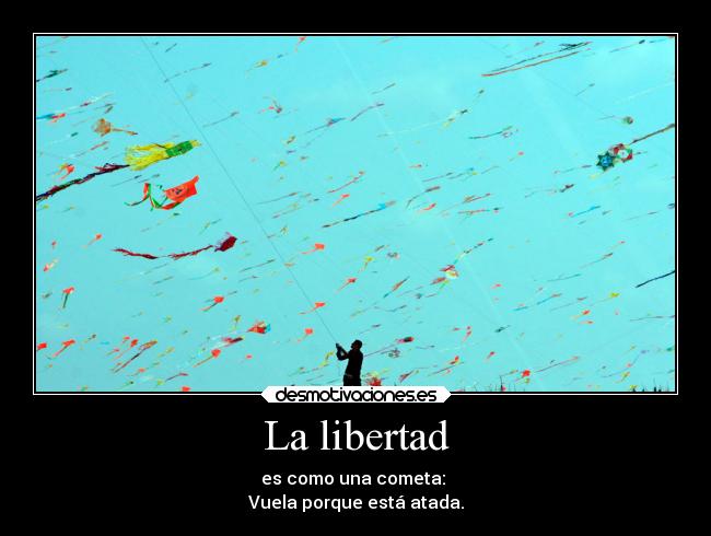 carteles libertad libertad realidad115 desmotivaciones