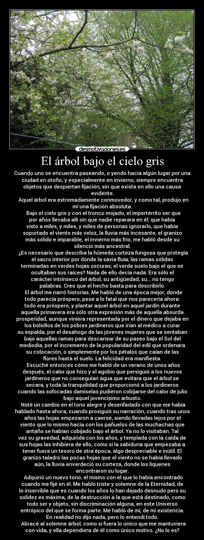 El árbol bajo el cielo gris -
