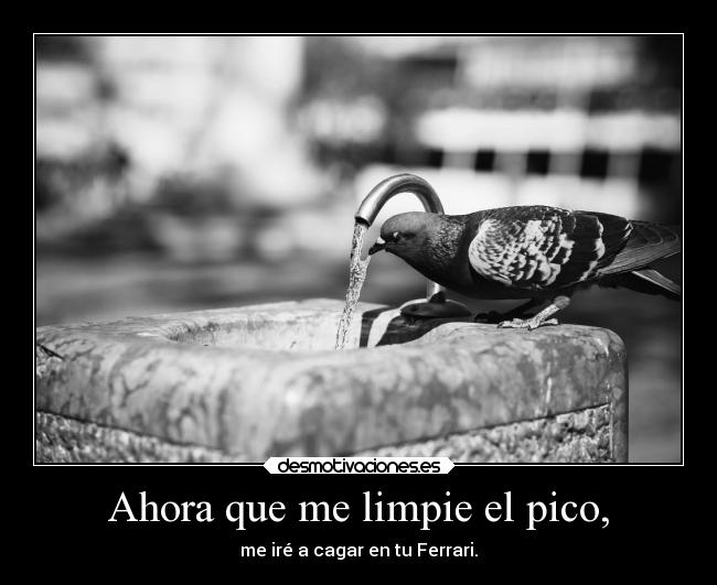 carteles locura desmotivaciones