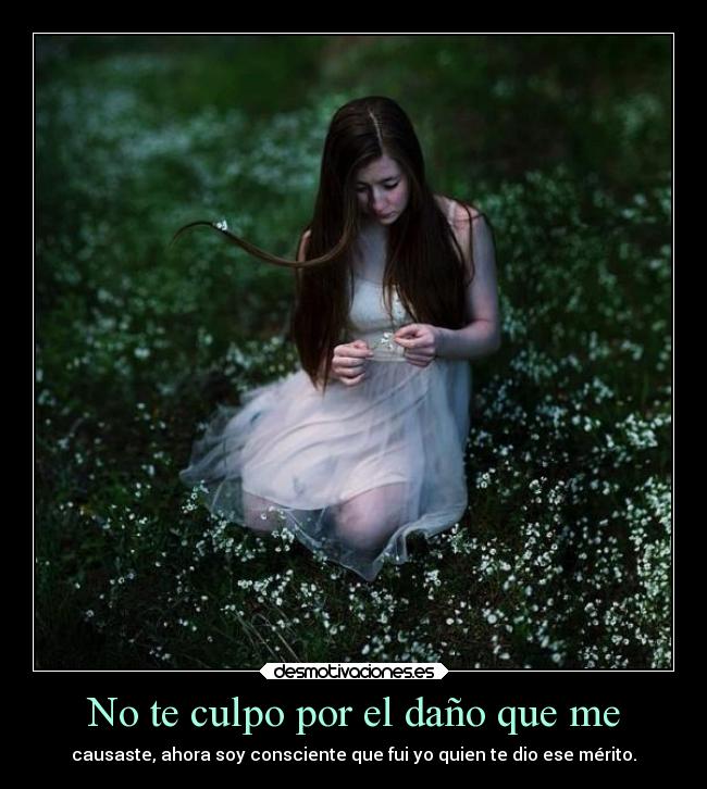 No te culpo por el daño que me - causaste, ahora soy consciente que fui yo quien te dio ese mérito.