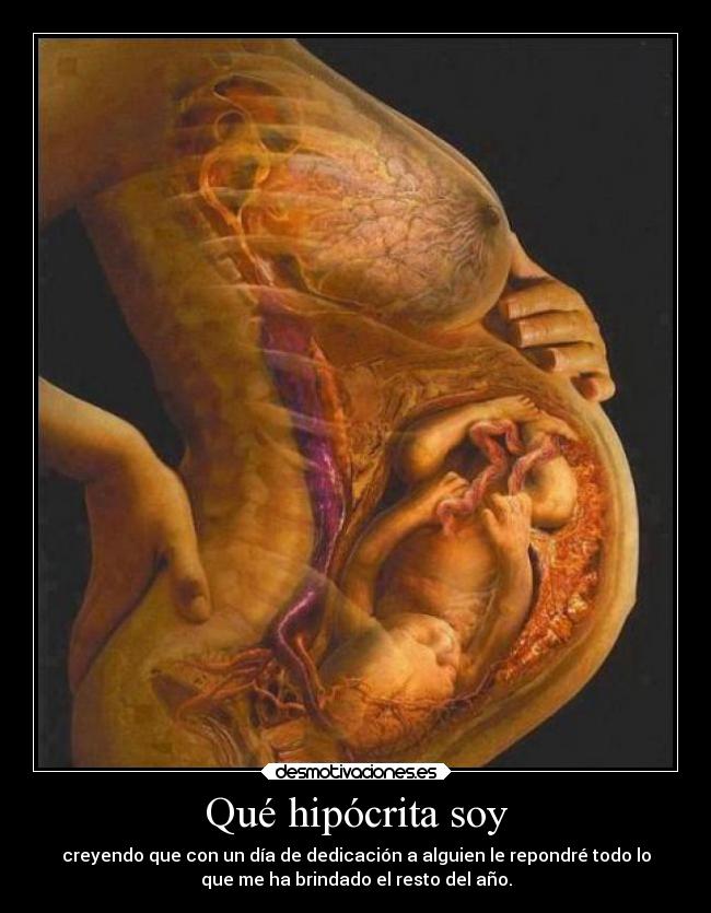 Qué hipócrita soy - creyendo que con un día de dedicación a alguien le repondré todo lo
que me ha brindado el resto del año.