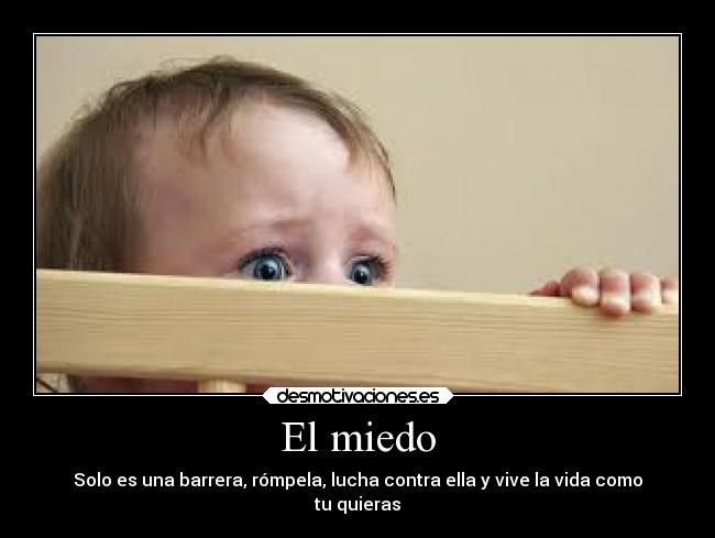 El miedo - 