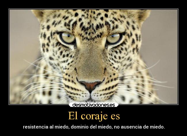 El coraje es -