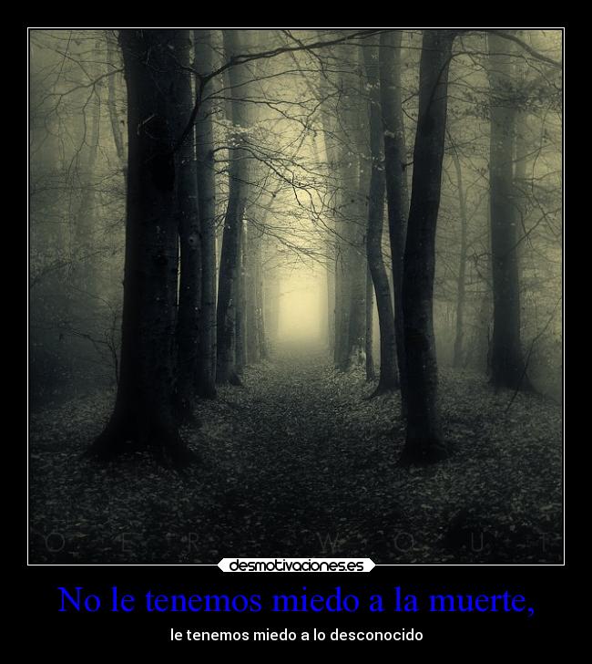 carteles miedo muerte vida historia frases esperanza enemigo distancia desmotivaciones ayuda ausencia chiste confianza desmotivaciones