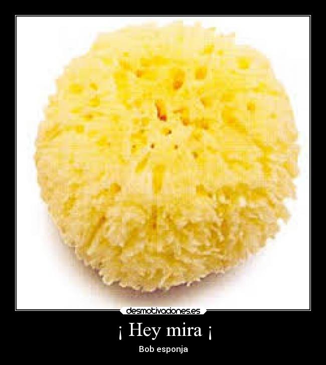 ¡ Hey mira ¡ - Bob esponja
